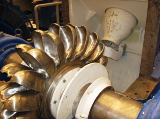 Pelton Turbine Runner